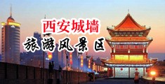 美女插逼自慰爆乳中国陕西-西安城墙旅游风景区